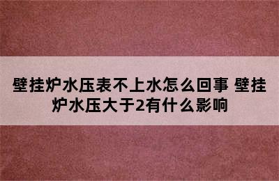 壁挂炉水压表不上水怎么回事 壁挂炉水压大于2有什么影响